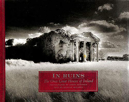 Stock image for In Ruins for sale by Langdon eTraders