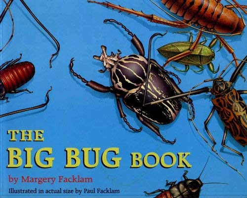 9780316909761: The Biggest Bug Book