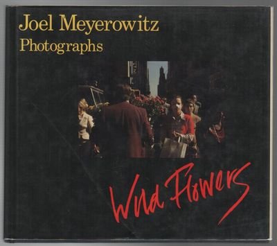 9780316939249: Wild Flowers: Joel Meyerowitz Photographs