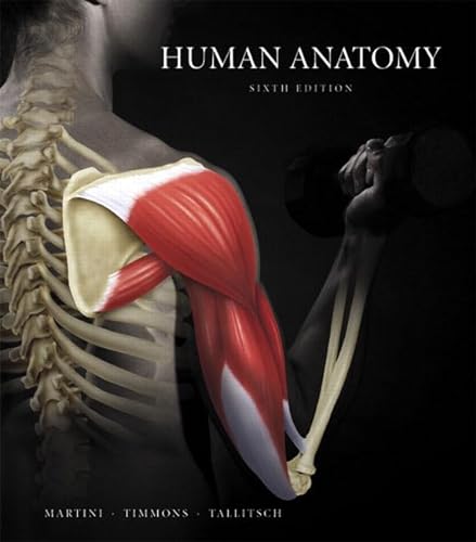 Stock image for Human Anatomy (6th Edition) for sale by HPB-Red