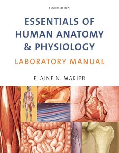 Beispielbild fr Essentials of Human Anatomy and Physiology Laboratory Manual zum Verkauf von Better World Books