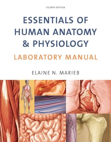 Imagen de archivo de Essentials of Human Anatomy and Physiology, by Marieb, 4th Edition, Lab Manual a la venta por a2zbooks