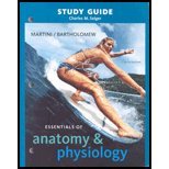Beispielbild fr Essentials of Anatomy and Physiology zum Verkauf von Better World Books Ltd