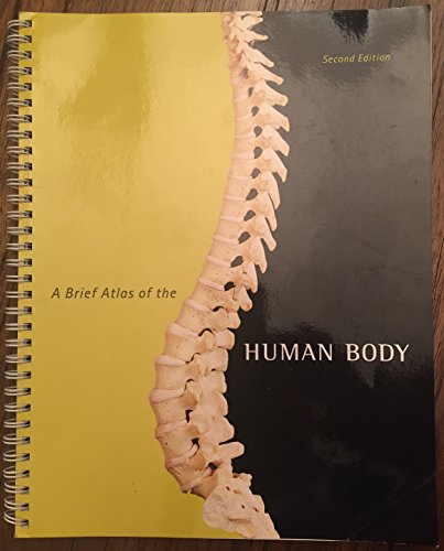 Imagen de archivo de Brief Atlas of the Human Body, A a la venta por Ergodebooks