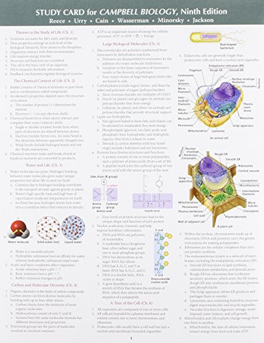 Beispielbild fr Study Card for Campbell Biology zum Verkauf von HPB-Red