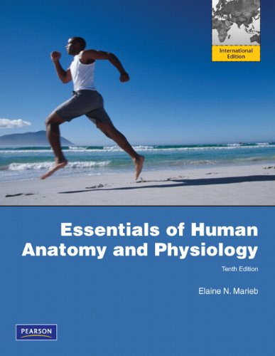 Beispielbild fr Essentials of Human Anatomy & Physiology: International Edition zum Verkauf von WorldofBooks