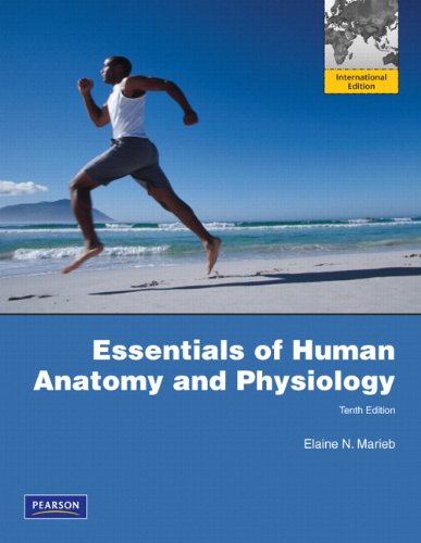 Imagen de archivo de Essentials of Human Anatomy & Physiology a la venta por AwesomeBooks