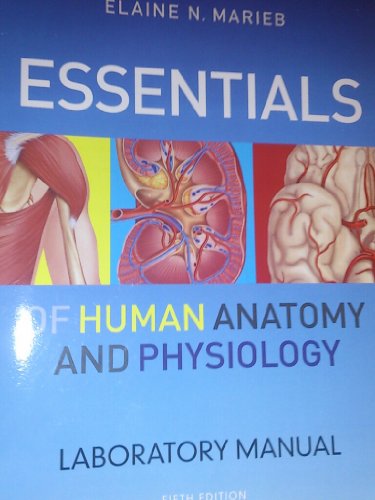 Beispielbild fr Essentials of Human Anatomy & Physiology zum Verkauf von SecondSale