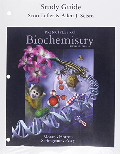 Imagen de archivo de Study Guide for Principles of Biochemistry a la venta por HPB-Red