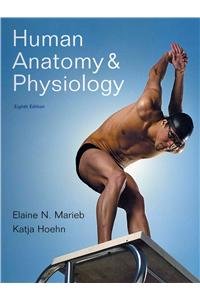 Brief Atlas of the Human Body, A with Interactive Physiology 10-System Suite CD-ROM/Human Anatomy & Physiology Laboratory Manual, Main Version, Update/MasteringA&P with Pearson eText (8th Edition) (9780321780805) by Marieb, Elaine N.; Hoehn, Katja