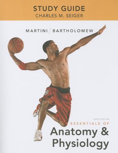 Imagen de archivo de Study Guide for Essentials of Anatomy Physiology a la venta por KuleliBooks