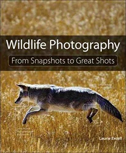 Beispielbild fr Wildlife Photography : From Snapshots to Great Shots zum Verkauf von Better World Books