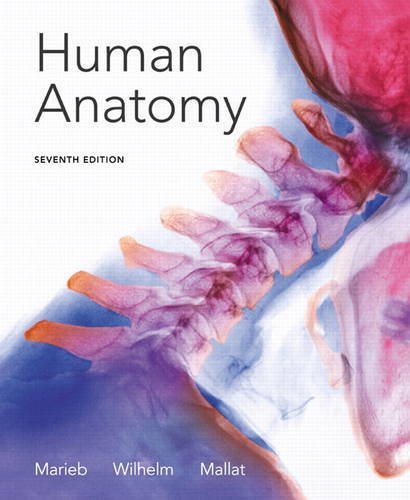 Stock image for Human Anatomy (7th Edition) for sale by HPB-Red