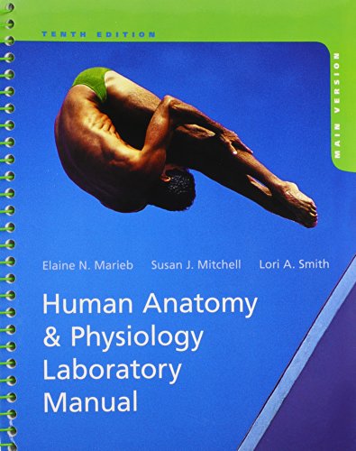 Beispielbild fr Human Anatomy Physiology, Main Version zum Verkauf von KuleliBooks