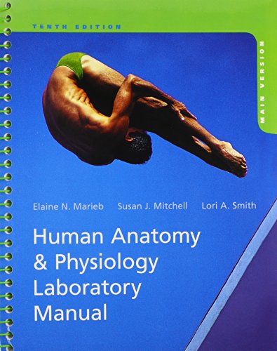 Stock image for Human Anatomy Physiology, Main Version for sale by KuleliBooks