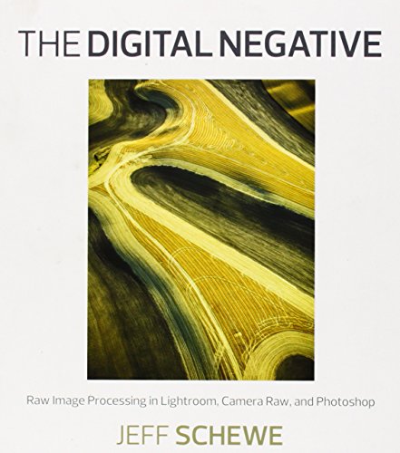 Imagen de archivo de The Digital Negative: Raw Image Processing in Lightroom, Camera Raw, and Photoshop a la venta por Jenson Books Inc