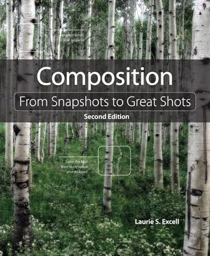 Stock image for Composition: From Snapshots to Great Shots for sale by Indiana Book Company