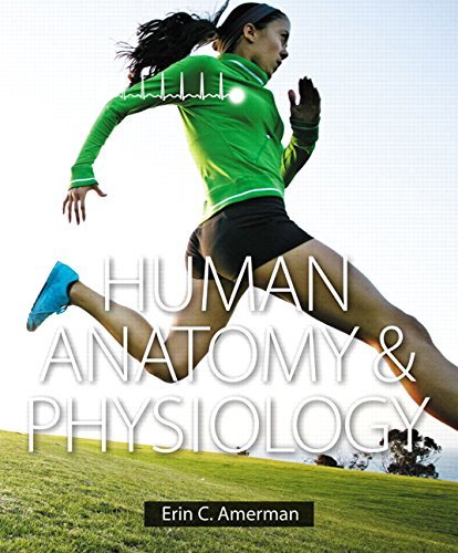 Beispielbild fr Instructor's Review Copy for Human Anatomy & Physiology (text component) zum Verkauf von BookHolders