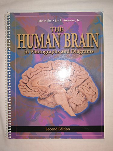 Stock image for The Human Brain: in Photographs and Diagrams for sale by BooksRun