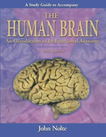 Imagen de archivo de Study Guide to Accompany the Human Brain: An Introduction to Its Functional Anatomy a la venta por Anybook.com