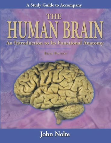 Stock image for Study Guide to Accompany The Human Brain for sale by SecondSale