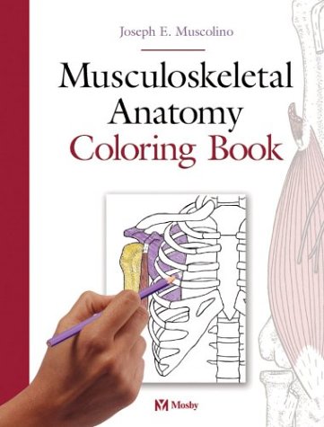 Beispielbild fr Musculoskeletal Anatomy Coloring Book zum Verkauf von Wonder Book