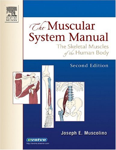 Beispielbild fr Musc Syst Mnl: Skel Musc Hum Bod 2e: The Skeletal Muscles of the Human Body (Muscular System Manual) zum Verkauf von medimops