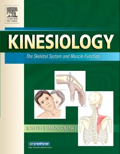 Imagen de archivo de Kinesiology : The Skeletal System and Muscle Function a la venta por Better World Books