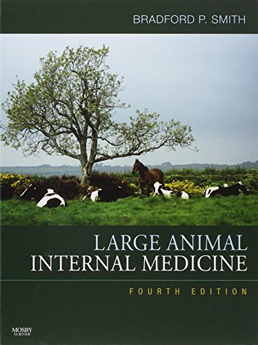 Imagen de archivo de Large Animal Internal Medicine a la venta por HPB-Red