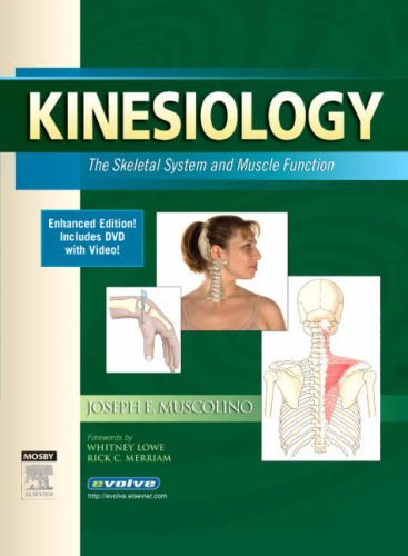 Imagen de archivo de Kinesiology (Enhanced Edition): The Skeletal System and Muscle Function a la venta por SecondSale