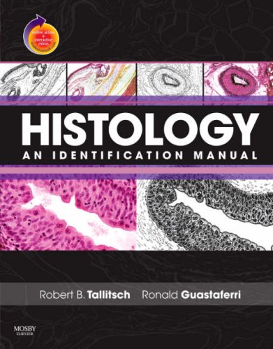 Stock image for Histology : An Identification Manual for sale by Better World Books