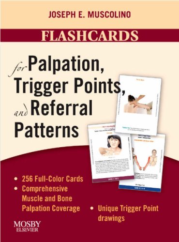 Stock image for Flashcards for Palpation, Trigger Points, and Referral Patterns for sale by HPB-Red