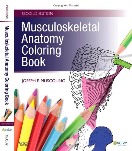 9780323057219: Musculoskeletal Anatomy Coloring Book