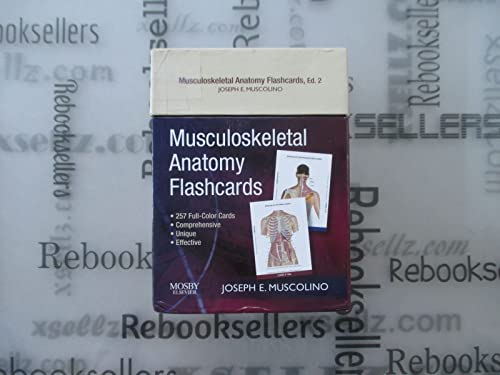 Imagen de archivo de Musculoskeletal Anatomy Flashcards a la venta por HPB-Red