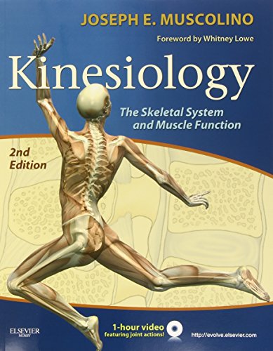 Beispielbild fr Kinesiology: The Skeletal System and Muscle Function zum Verkauf von BooksRun