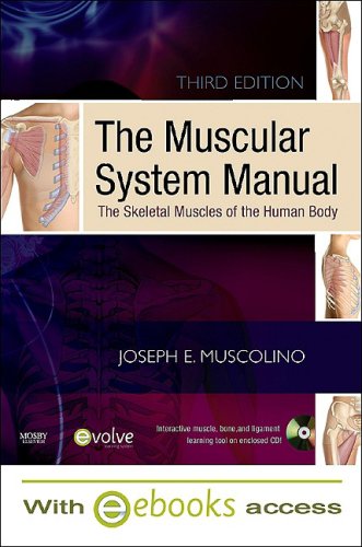 9780323071345: The Muscular System Manual: The Skeletal Muscles of the Human Body