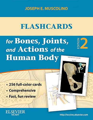 Stock image for Flashcards for Bones, Joints, and Actions of the Human Body-1st edition for sale by Byrd Books