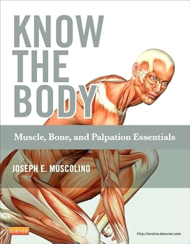 Imagen de archivo de Know the Body: Muscle, Bone, and Palpation Essentials a la venta por BooksRun