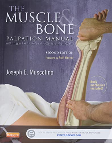 Imagen de archivo de The Muscle and Bone Palpation Manual with Trigger Points, Referral Patterns and Stretching a la venta por HPB-Red