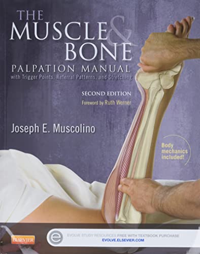 Stock image for The Muscle and Bone Palpation Manual with Trigger Points, Referral Patterns and Stretching for sale by Zoom Books Company