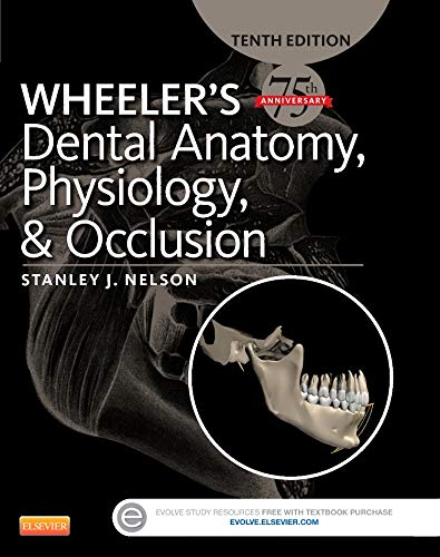 Imagen de archivo de Wheeler's Dental Anatomy, Physiology and Occlusion: Expert Consult a la venta por GoldBooks