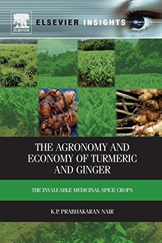 Stock image for The Agronomy and Economy of Turmeric and Ginger: The Invaluable Medicinal Spice Crops for sale by Revaluation Books