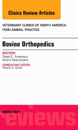 Stock image for Bovine Orthopedics, An Issue of Veterinary Clinics of North America: Food Animal Practice (Volume 30-1) (The Clinics: Veterinary Medicine, Volume 30-1) for sale by HPB-Red