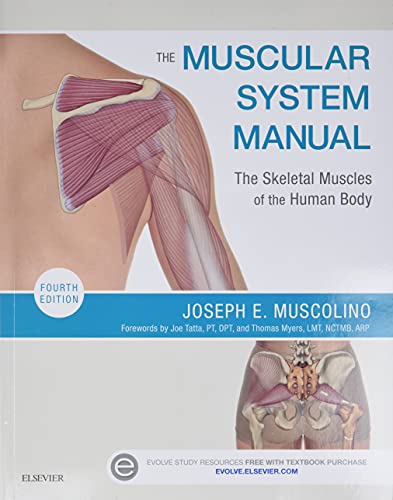 Imagen de archivo de The Muscular System Manual: The Skeletal Muscles of the Human Body a la venta por SecondSale
