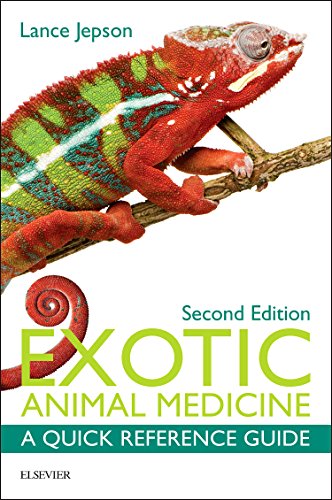Stock image for Exotic Animal Medicine: A Quick Reference Guide 2ed for sale by Basi6 International