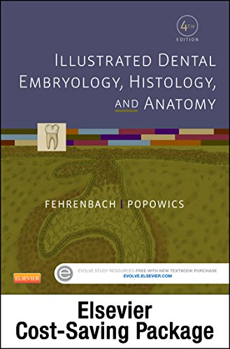 Beispielbild fr Illustrated Dental Embryology, Histology, and Anatomy - Text and Student Workbook Package zum Verkauf von GoldenWavesOfBooks