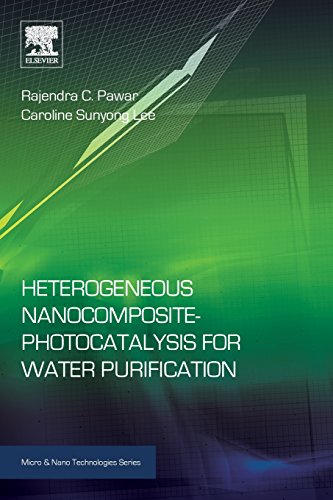 Imagen de archivo de Heterogeneous Nanocomposite-Photocatalysis for Water Purification a la venta por THE SAINT BOOKSTORE