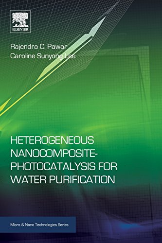 9780323393102: Heterogeneous Nanocomposite-Photocatalysis for Water Purification