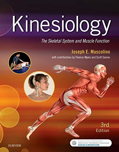 Imagen de archivo de Kinesiology: The Skeletal System and Muscle Function a la venta por HPB-Red