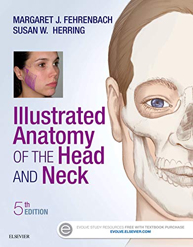 Stock image for Illustrated Anatomy of the Head and Neck for sale by SecondSale